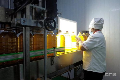 高質量發展 新 速度丨新疆高質量推動糧油產業集群建設